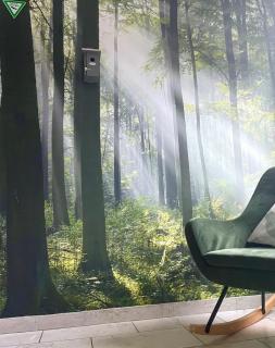 GRÜN möbliertes Wohnen auf Zeit mit 2 Schlafzimmern und 65 Zoll TV - Siegen - 9