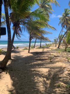 Cabana Família Coruja - Camaçari - 9