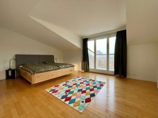 Spacious house with partial lake view - Luzern - 7