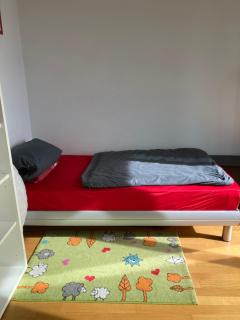 Privatzimmer mit Balkon in neuer, heller Penthouse Wohnung - Ratisbona - 4