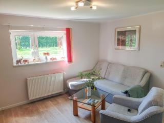 Ferienwohnung Balmer Wiesen - Balm - 9