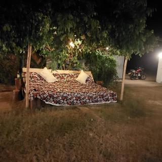 Hotel Surfing - Arugam Bay - 6