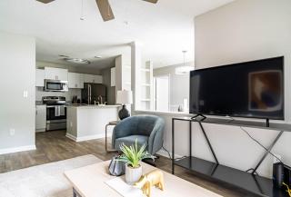 The Durham Vibe 8714 - Durham - 3