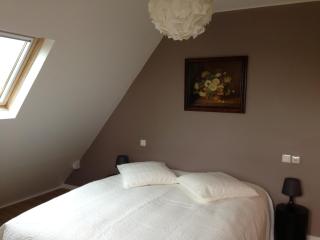 Charming house in Riquewihr, Alsace - Riquewihr - 1