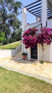 Corfu Lavender - Ágios Prokópios - 2