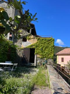 Maison de village 3 chambres 2 SDB avec terrasse & jardin - Proche St Florent - Pieve - 2