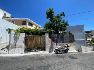 Magi - Limoncello - Ponza - 4