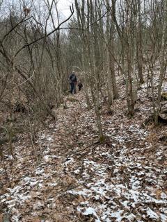 Borjak vikendica - Kamenica - 4
