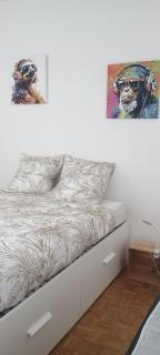 Comfortable 1 bd apt - Peseux - 7