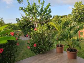 Le jardin d'Elissya - 4