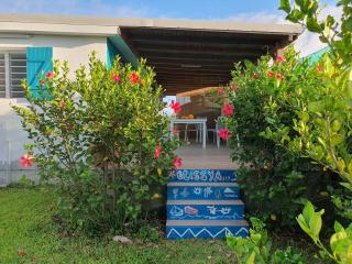 Le jardin d'Elissya - 3
