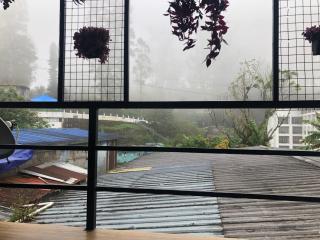 Birdwing Cottage, Munnar - Munnar - 4