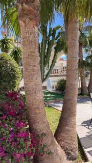 Villa avec piscine et jacuzzi - Mijas Costa - 6