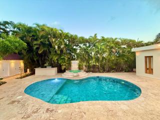 Tropical Roga Villa with Private Pool - Cabarete - 8