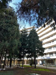 black seaside apartment, Tsikhitsdziri - Zichisdsiri - 7