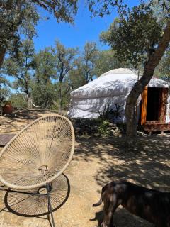 Au Soleil Mongol - Sorède - 4