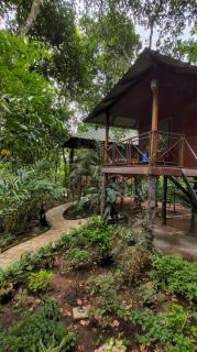 Monsoon Retreats Treehouse - Thekkady - 7