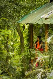 Monsoon Retreats Treehouse - Thekkady - 5