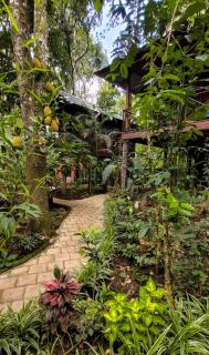 Monsoon Retreats Treehouse - Thekkady - 3