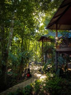 Monsoon Retreats Treehouse - Thekkady - 1