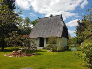Spreewaldferienhaus Kupa - Burg - 9