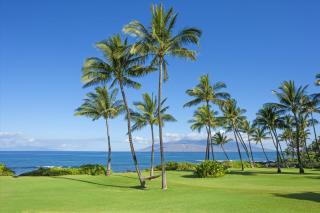 Iconic Oceanfront Estate In Wonderful Wailea, Maui! - Wailea - 6