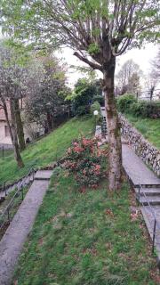 Alfaro54 - Brunate - 7