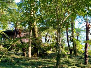 Castle in the sky mountain bliss, Kintamani area - 6