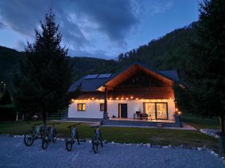 Artizan Chalet - Topliţa - 8