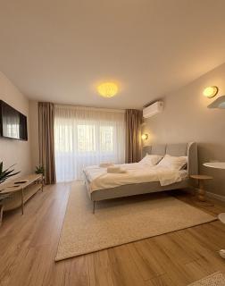AXA Central Studio - Tineretului - Bucharest - 0