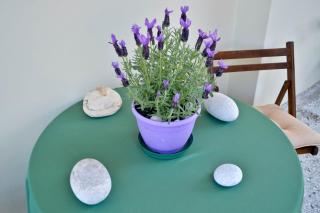 Agapi Mou Apartment, Kanoni Corfu - Corfu - 5