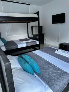 hotel royal fenix - Yopal - 7