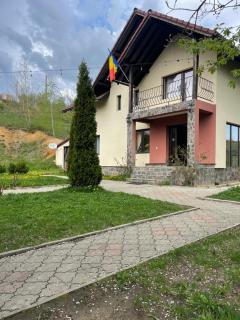 Pensiunea 7 Brazi - 7