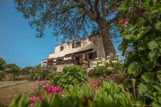 Casa Maredda with private pool and large garden - Peri - 6