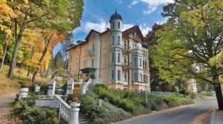 B&B Villa Hotel - Mariánské Lázně - 8