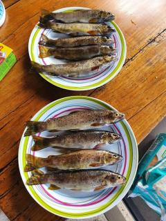 Green cube - Sornac - 5