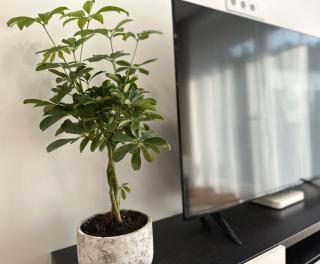Lazdyneliu Vingis Vilnius "Good Choice" Apartment - Self check-in - Vilnius - 7