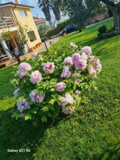 La Collina del Riccio - Ortona - 8