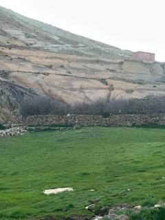 Anmid Tigmi - 8