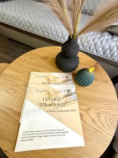 2-Modernes 1-Raum Apartment in Wiesbaden,ruhig und mit Terrasse - 3