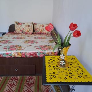 Ionuț residence - Valea Mare - 4