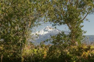 Indómito Refugio - 1