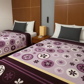 Hotel Puerto Mexico Aeropuerto Galeria & Boutique - Città del Messico - 8