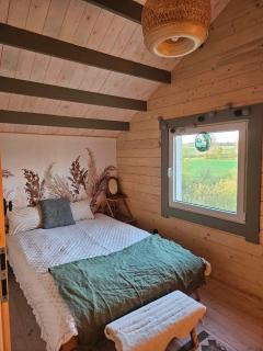 Dzika Warmia - - 3