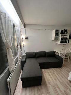 Studio Apartment in Airport Area - Copenhaga - 3
