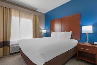 Comfort Suites DFW N-Grapevine - Grapevine - 4