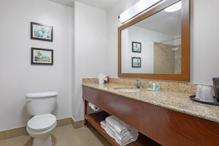 Comfort Suites DFW N-Grapevine - Grapevine - 3