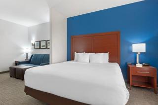 Comfort Suites DFW N-Grapevine - Grapevine - 1
