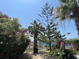Cleopatra Villa - Mpatsi - 1