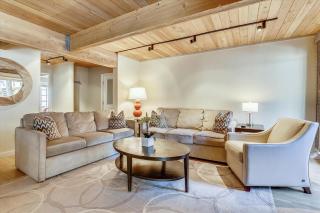 Elegant Aspen Downtown - Walk to Shops, Hill & Dining - 6